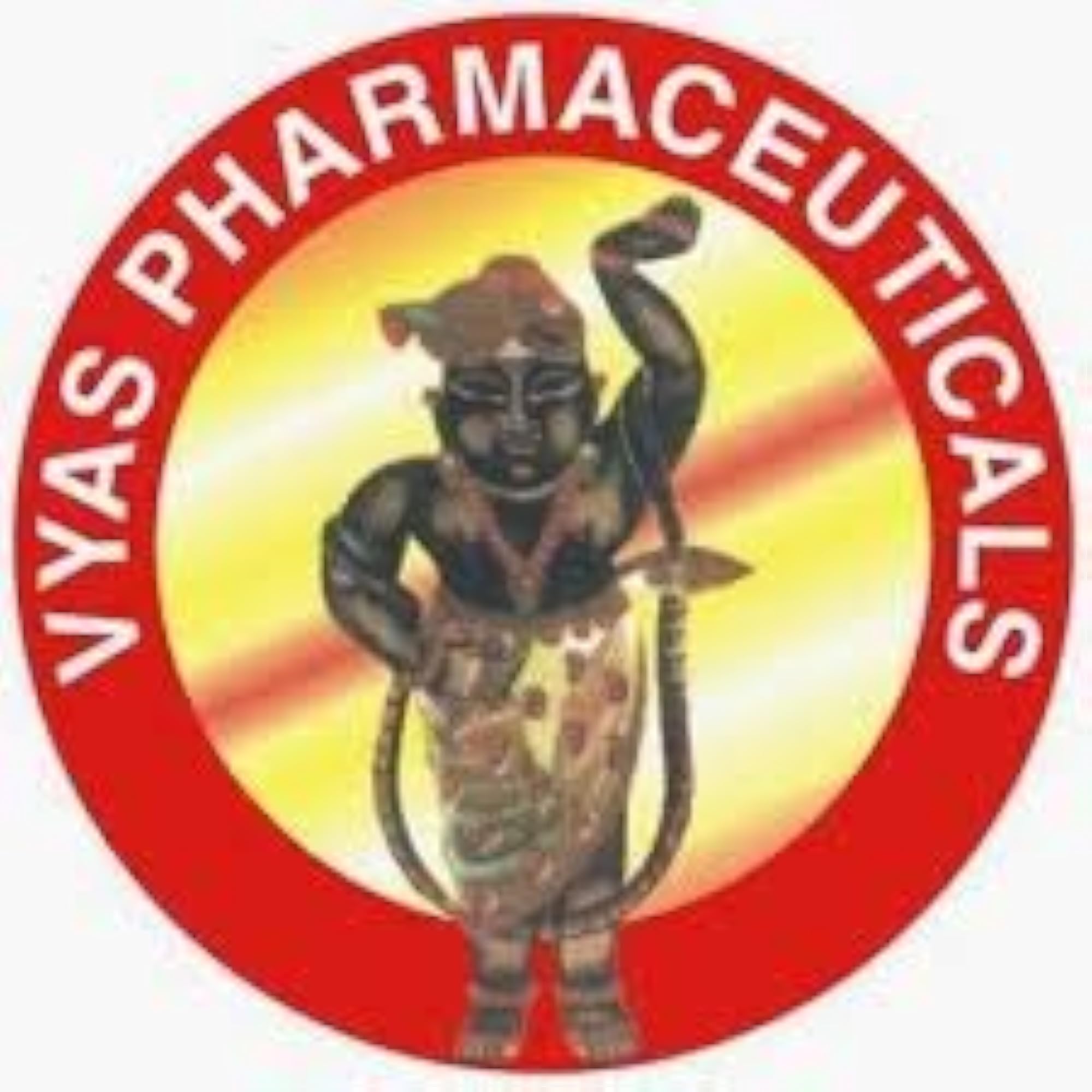 Vyas Nimbadi Churna 100g - Detoxifying Health Supplement
